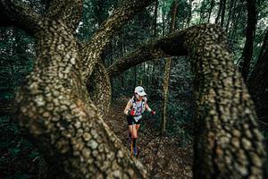 BIB: 
                            <button type="button" onclick="openModal(25393367)" class="btn btn-primary btn-sm float-right btn-popup" data-toggle="modal" data-target=".modal-high-quality">
                        <i class="fas fa-shopping-cart"></i> Add to Cart
                    </button>
                                            <button type="button" onclick="isThisMe(25393367, true)" class="btn btn-success btn-sm float-right btn-popup btn-isme hidden" data-toggle="tooltip" data-placement="bottom" title="นี่คือรูปของคุณใช่ไหม คลิกที่นี่เพื่อเอาเข้าอัลบั้ม">
                        <i class="fas fa-plus"></i> Add to album
                    </button>
                    <button type="button" onclick="isThisMe(25393367, false)" class="btn btn-warning btn-sm float-right btn-popup btn-isnotme hidden">
                        <i class="fas fa-ban"></i> Remove from album
                    </button>